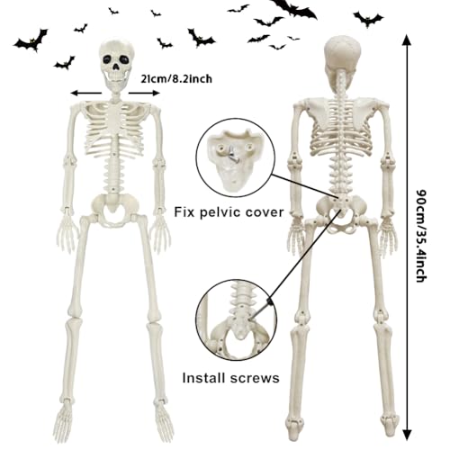 5.4ft/165cm Life Size Skeleton with Movable Joints P665285