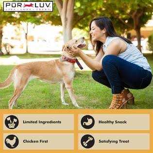 Real Chicken Jerky Dog Treats S5602