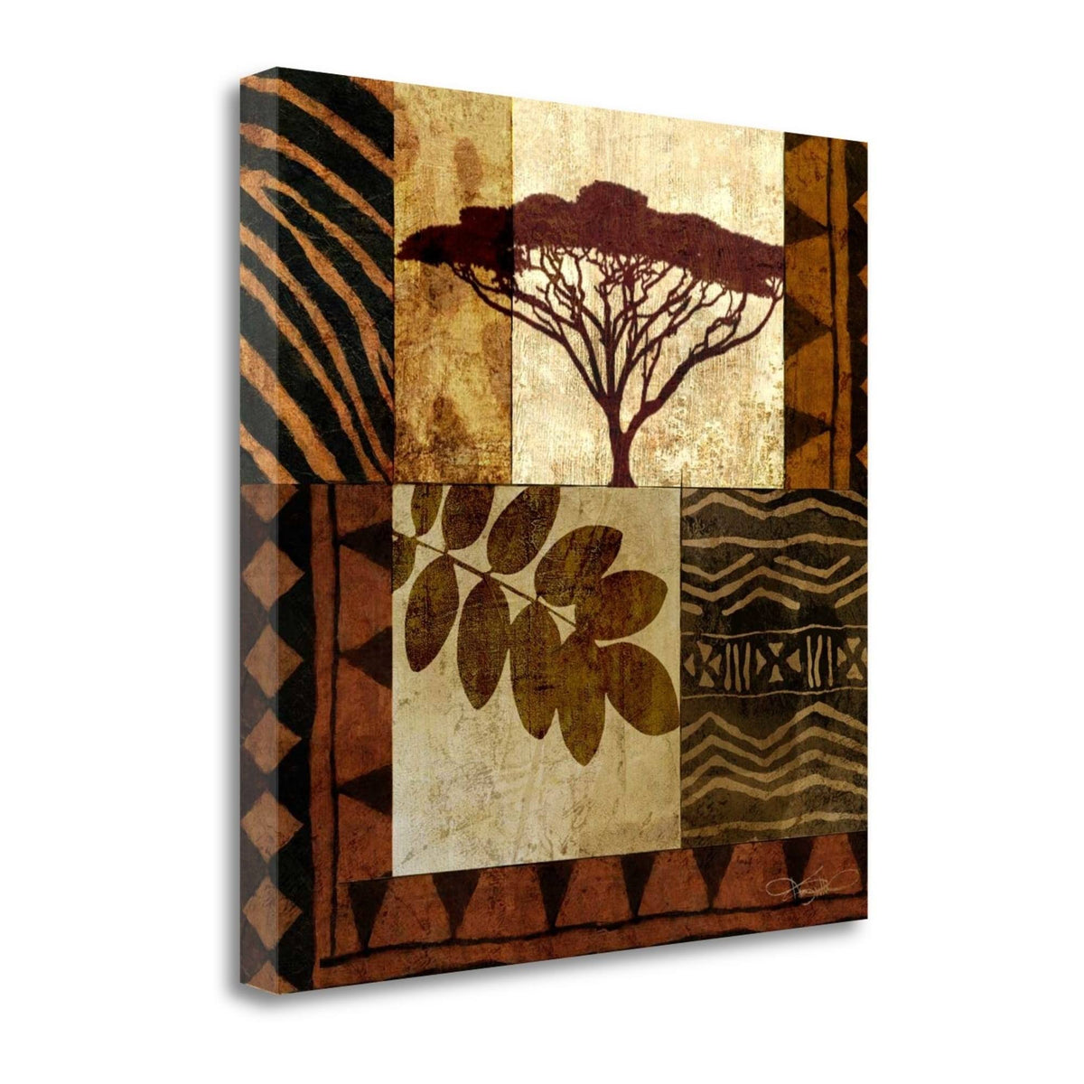 Acacia Sunrise II Fine Art Giclee Print Z42284