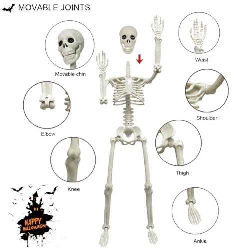 5.4ft/165cm Life Size Skeleton with Movable Joints P665285