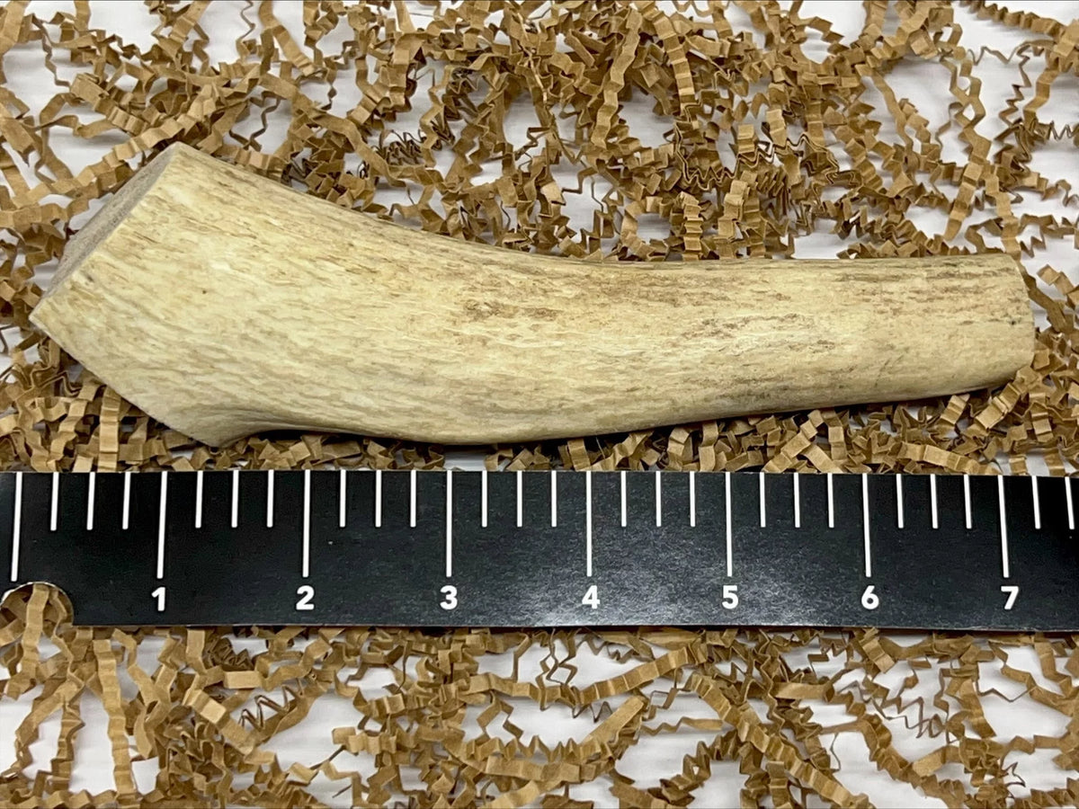 Elk Antler Dog Bone Q115838