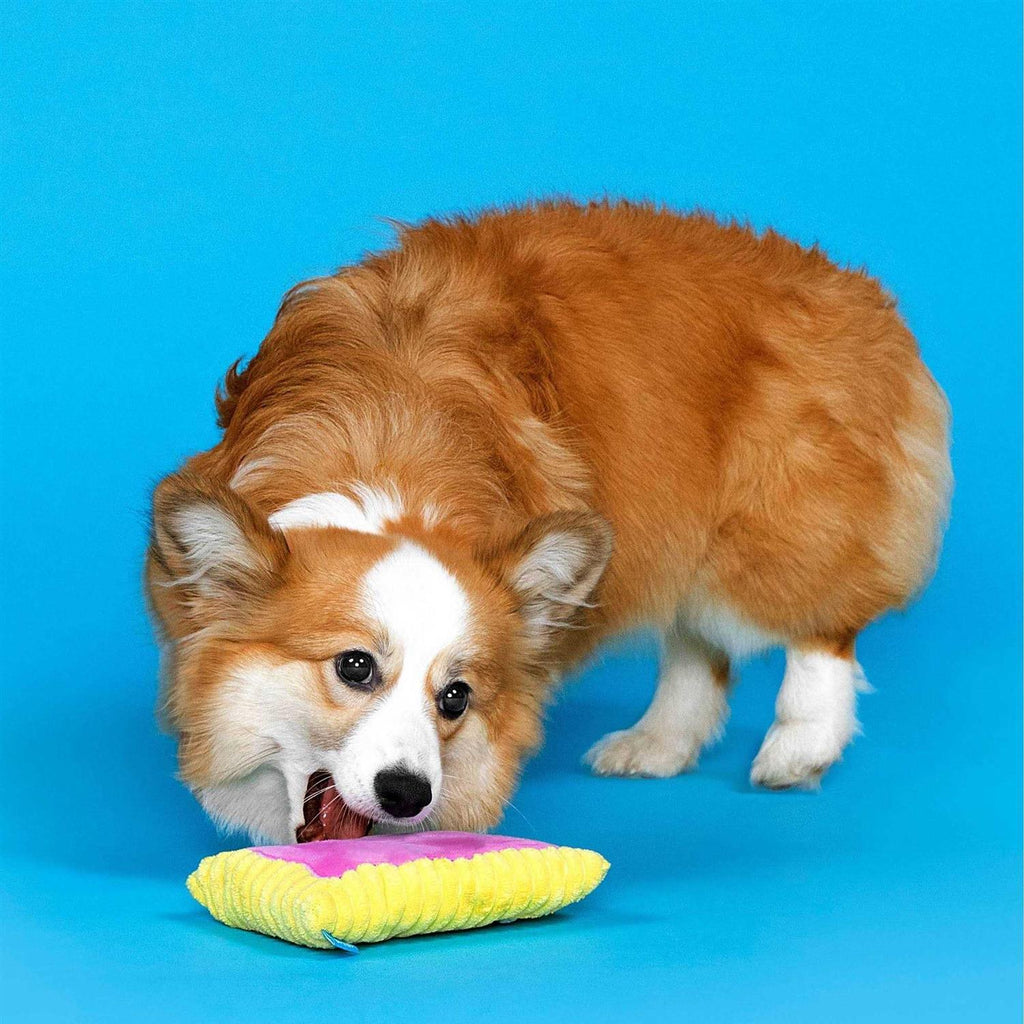 Toaster Pastry Dog Toy X244