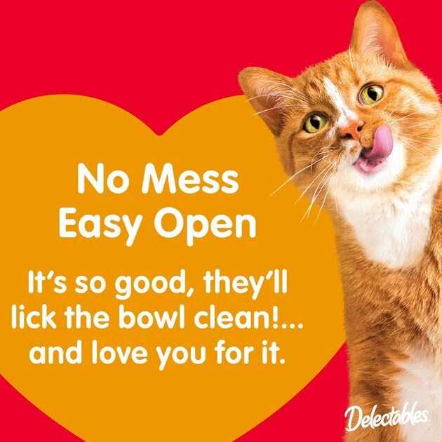 Chicken Savory Broths Lickable Cat Treat G38666