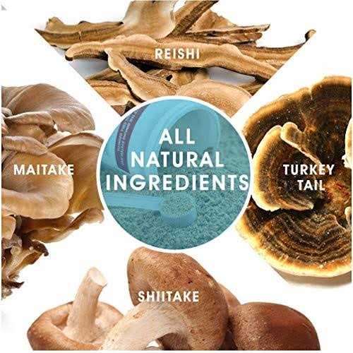 Critical Immune Defense for Dogs & Cats W297449