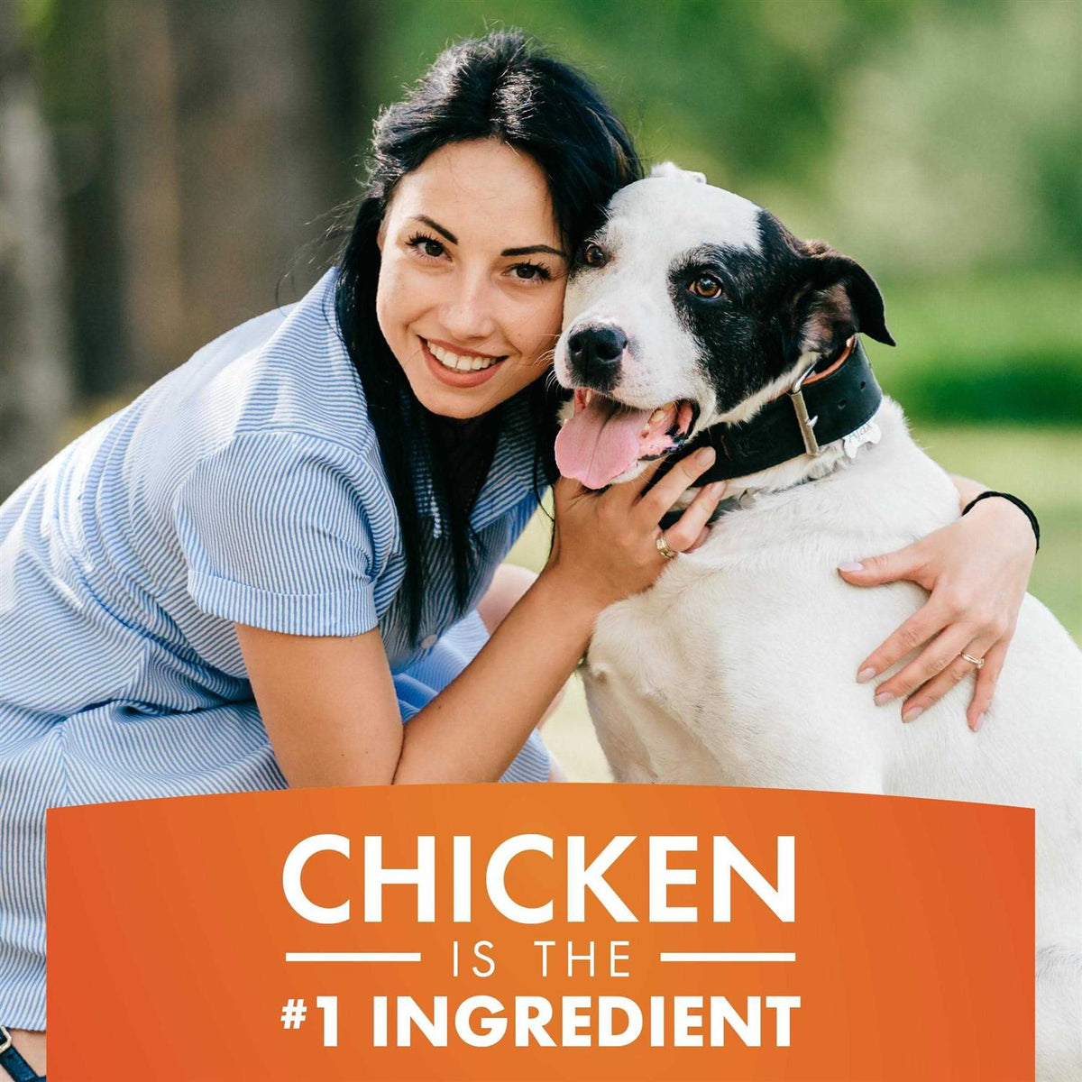 Real Chicken Jerky Dog Treats S5602