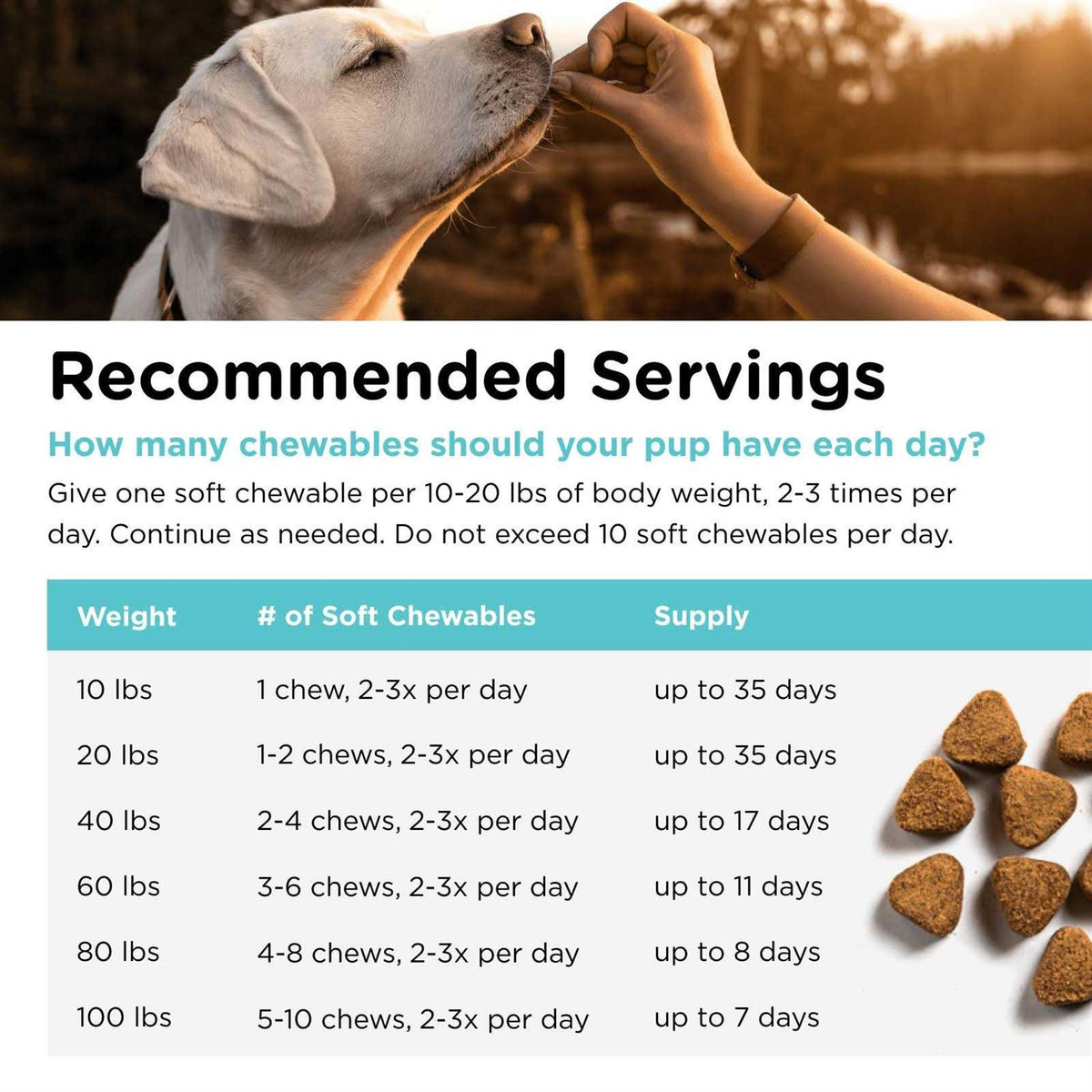 Pet Ease Soft Chews for Dogs I241