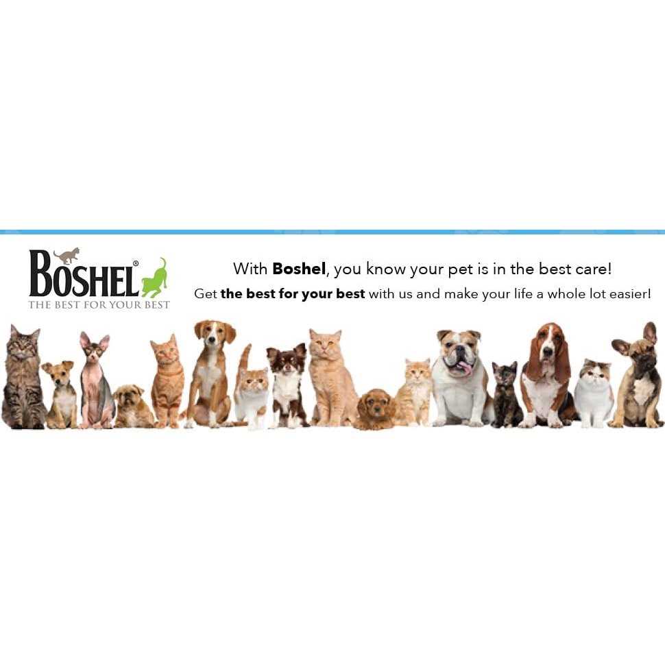 Dog Nail Clippers with Quick Sensor A61691