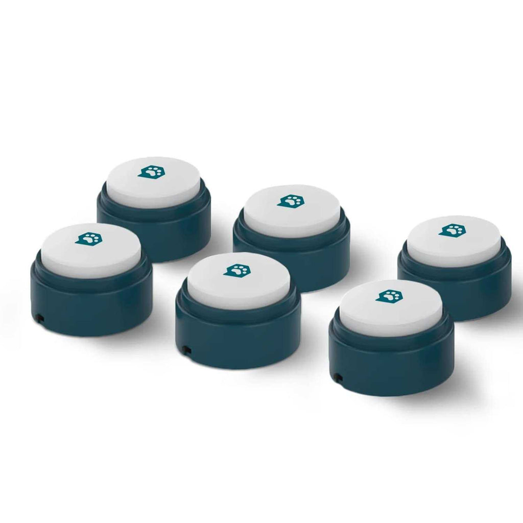 6 Pack Talking Buttons G10717