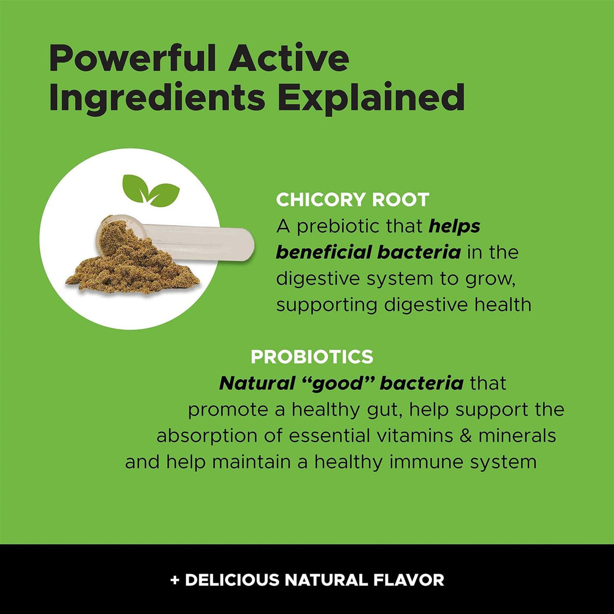 Probiotics for Cats Y64442