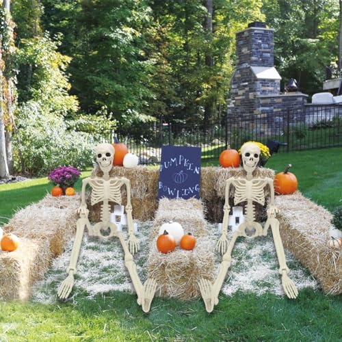 5.4ft/165cm Life Size Skeleton with Movable Joints P665285