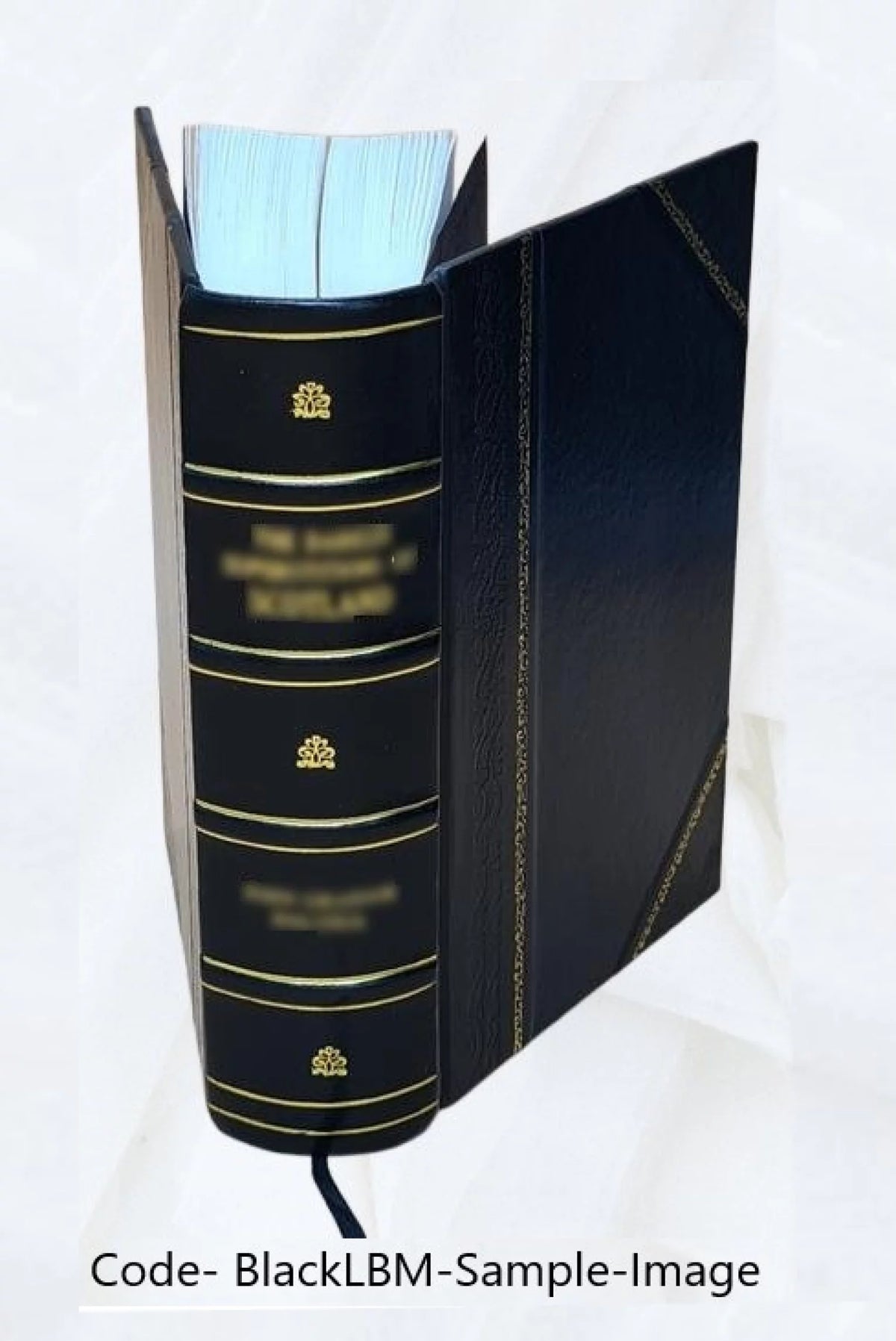 1838 Leather Bound O23067
