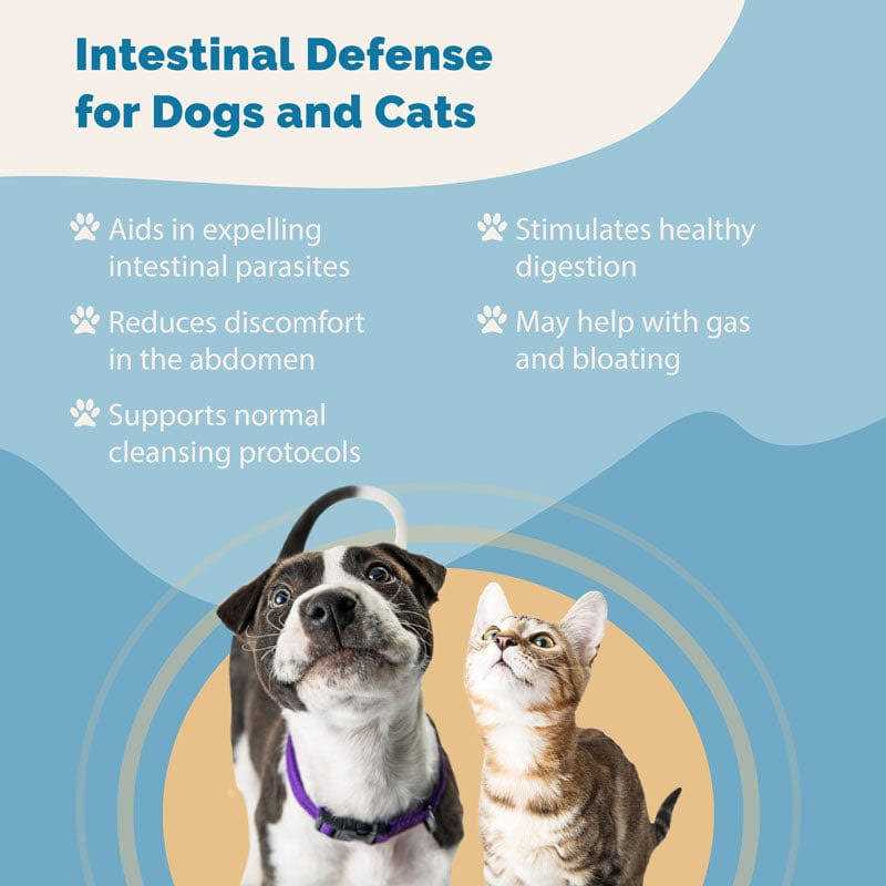 Herbal Dewormer for Dogs E47934