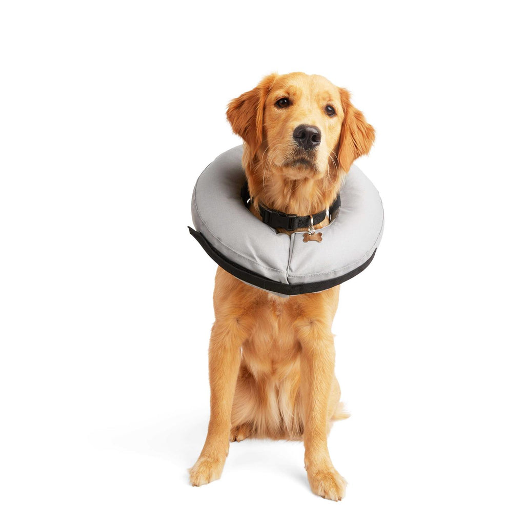 Inflatable Dog Collar J403