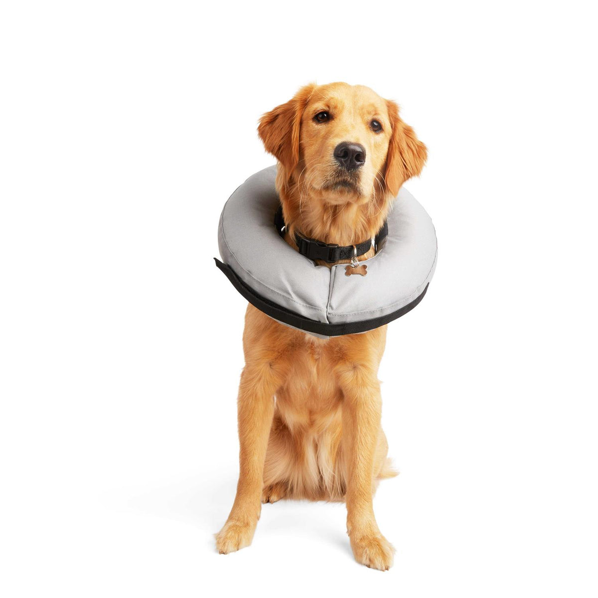 Inflatable Dog Collar J403