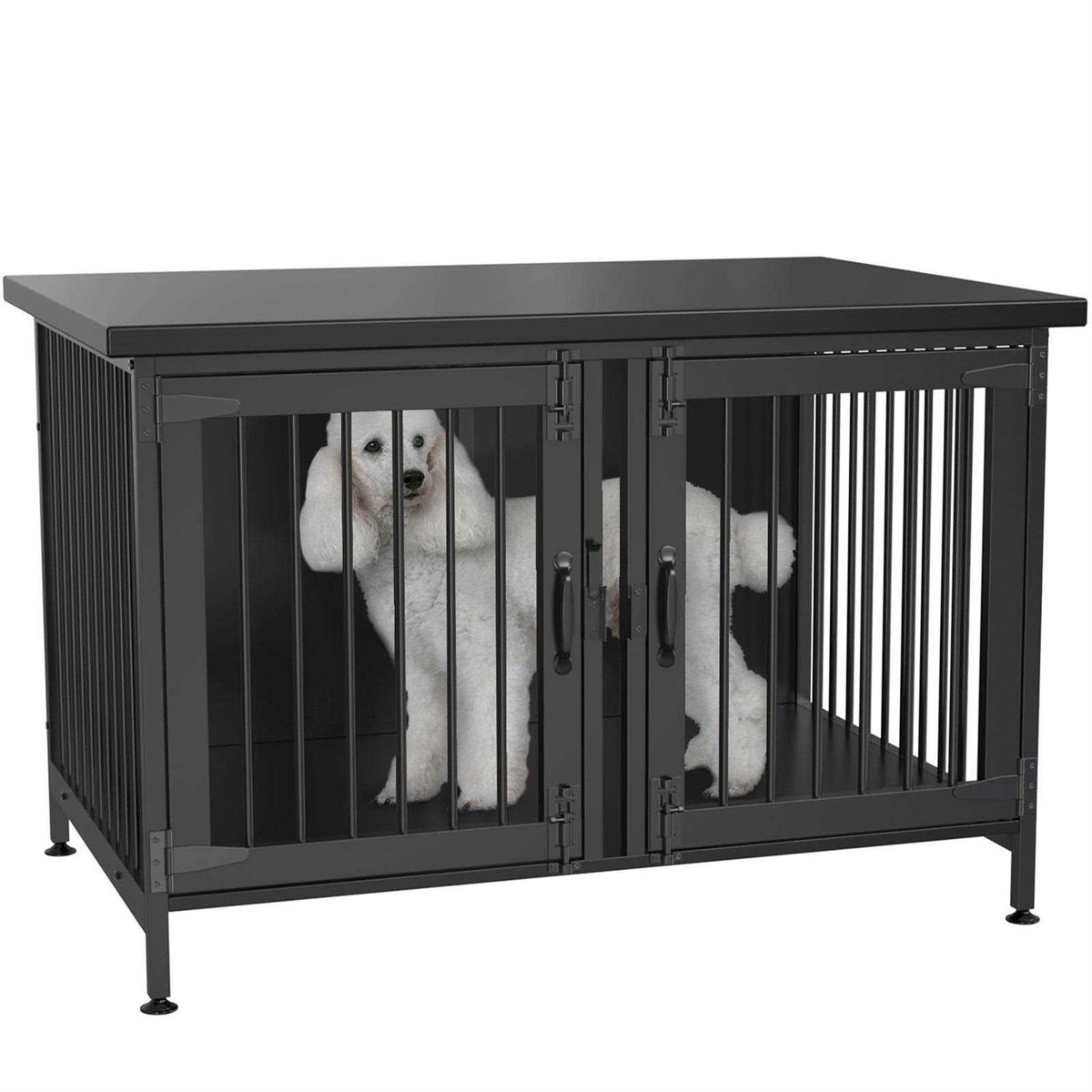 Double Dog Crate with Divider W539025