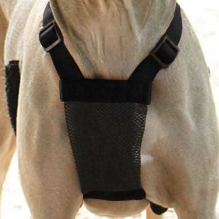 Mesh Non Pull Dog Harness I926008