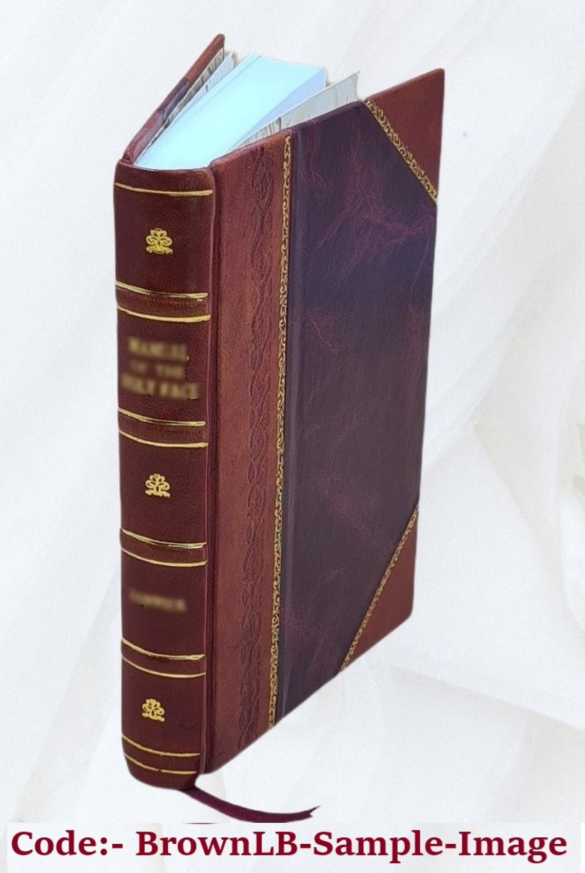 Leather Bound Book B264