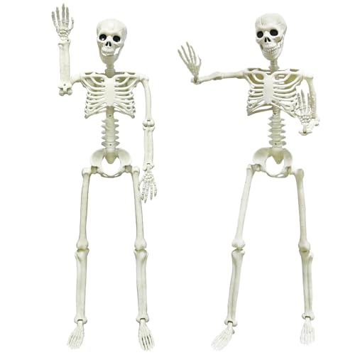 5.4ft/165cm Life Size Skeleton with Movable Joints P665285