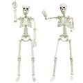 5.4ft/165cm Life Size Skeleton with Movable Joints P665285