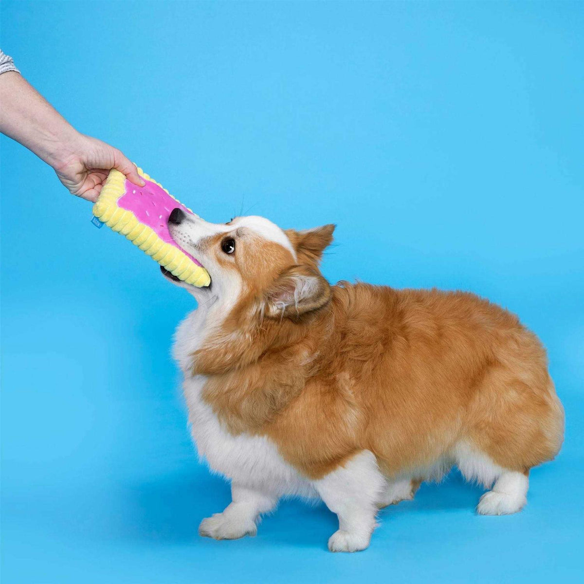Toaster Pastry Dog Toy X244