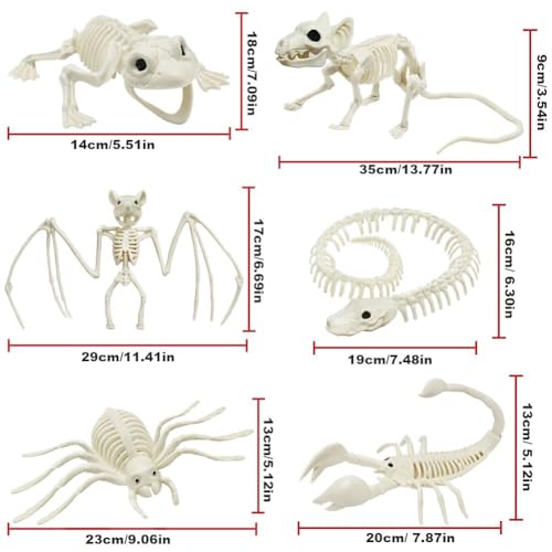 5.4ft/165cm Life Size Skeleton with Movable Joints P665285