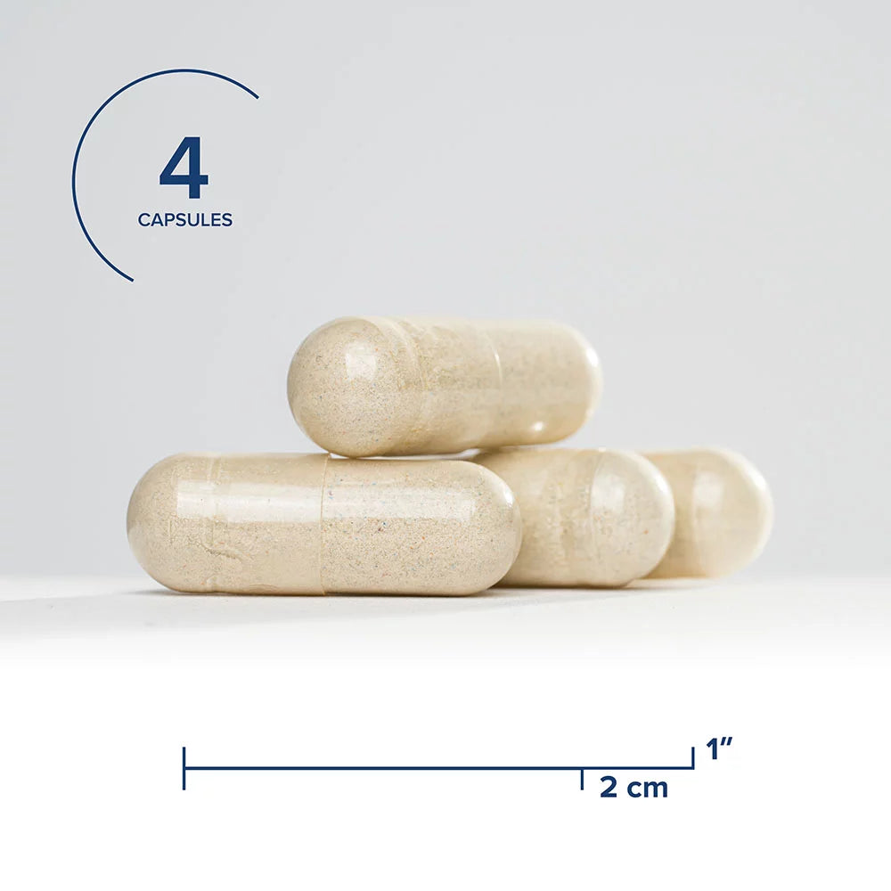 120 Capsules Multivitamin with Iron and Active B Vitamins U754416