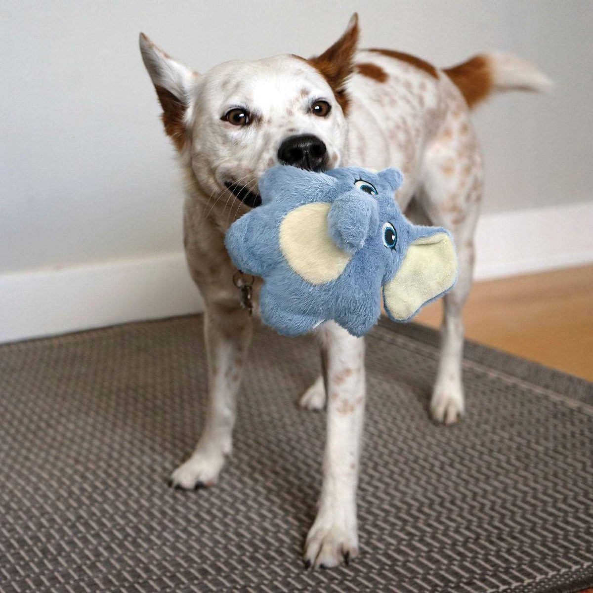 Bunny Dog Toy A30446