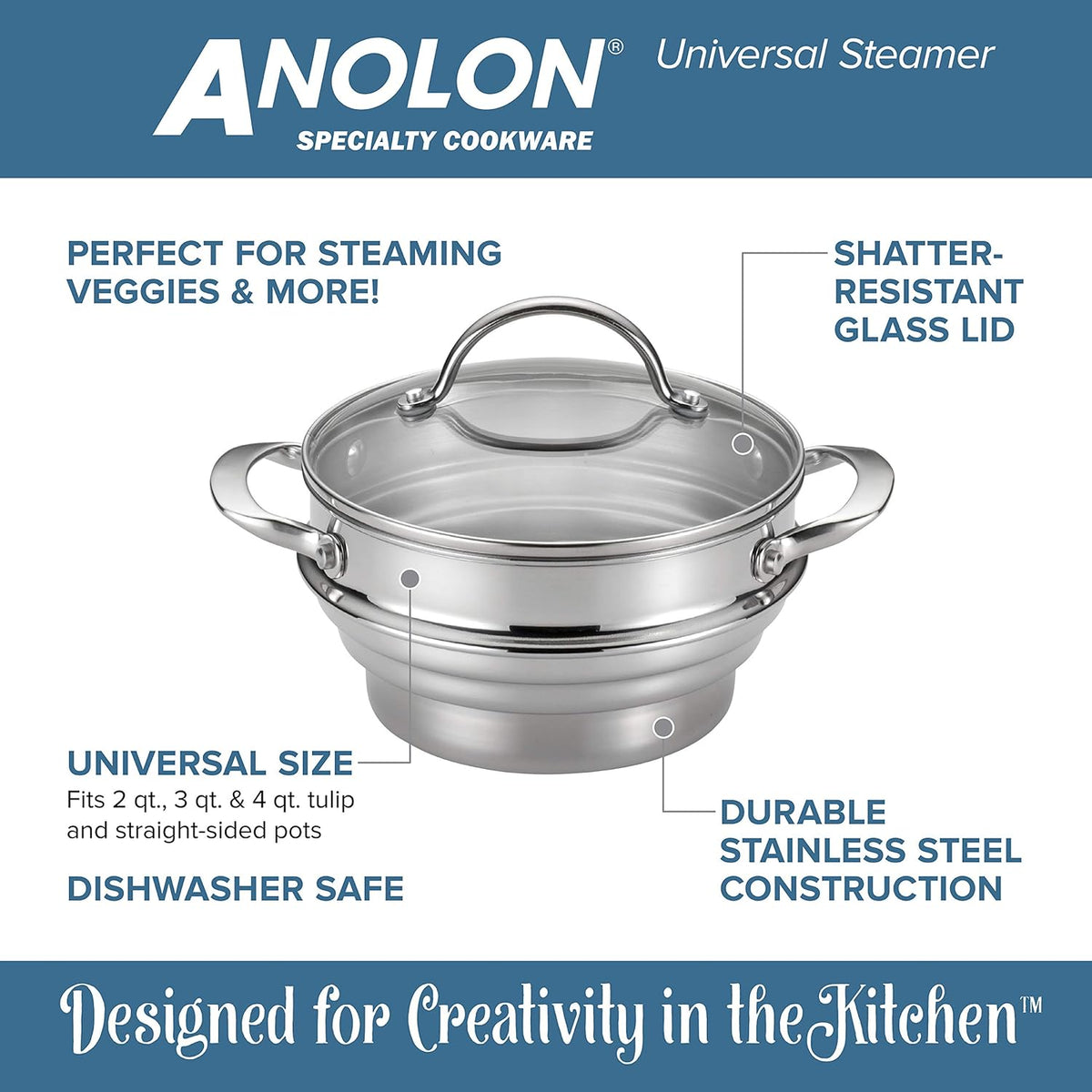 Stainless Steel Covered Steamer Insert W9786