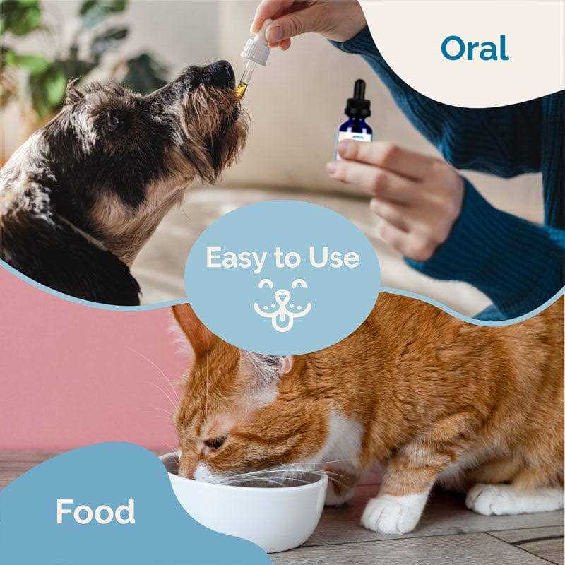 Herbal Dewormer for Dogs E47934