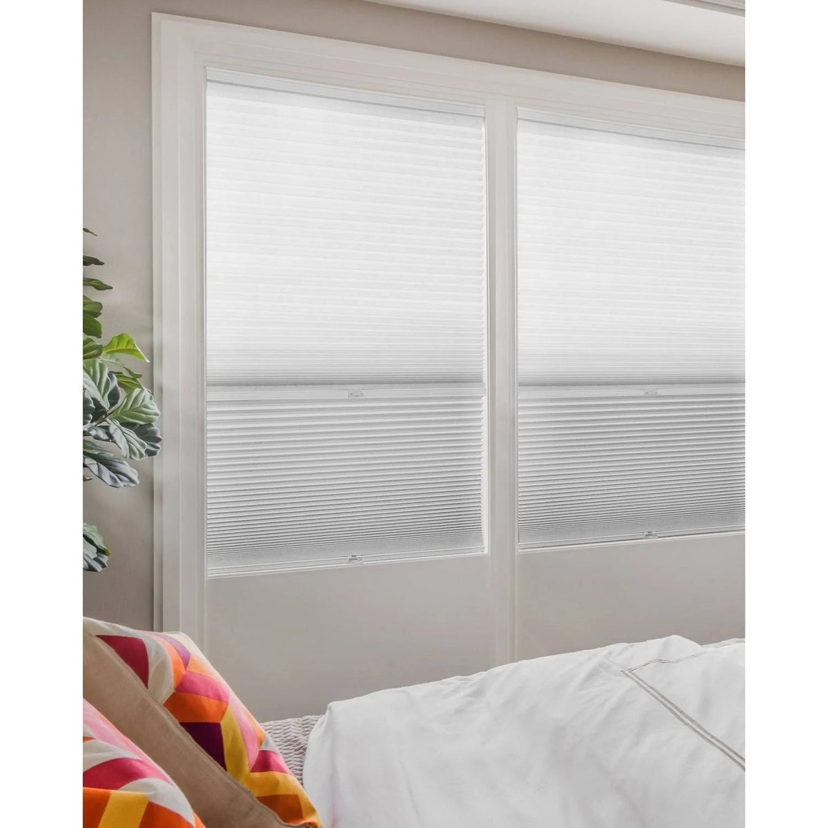 Cordless Cellular Shades Cotton 45x22 x 72x22 V306313