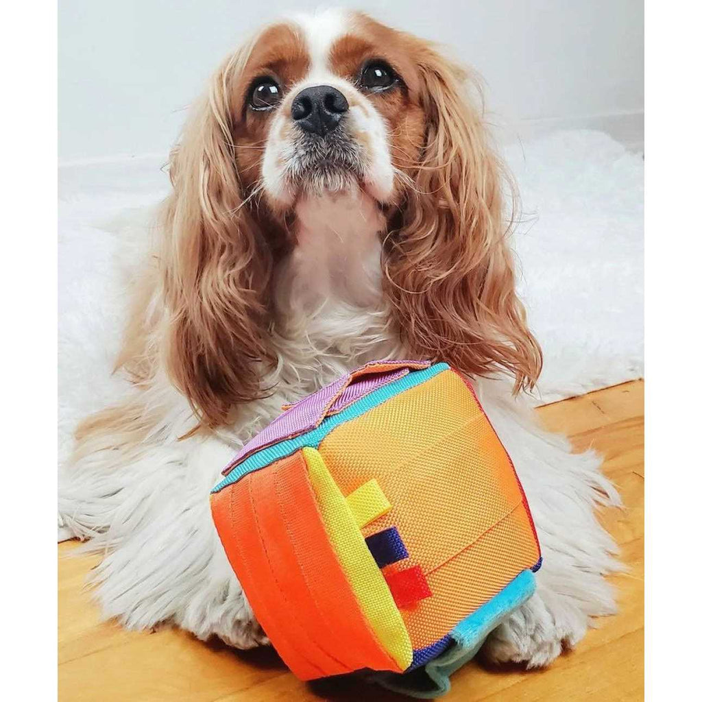 Dog Puzzle Toy W4607