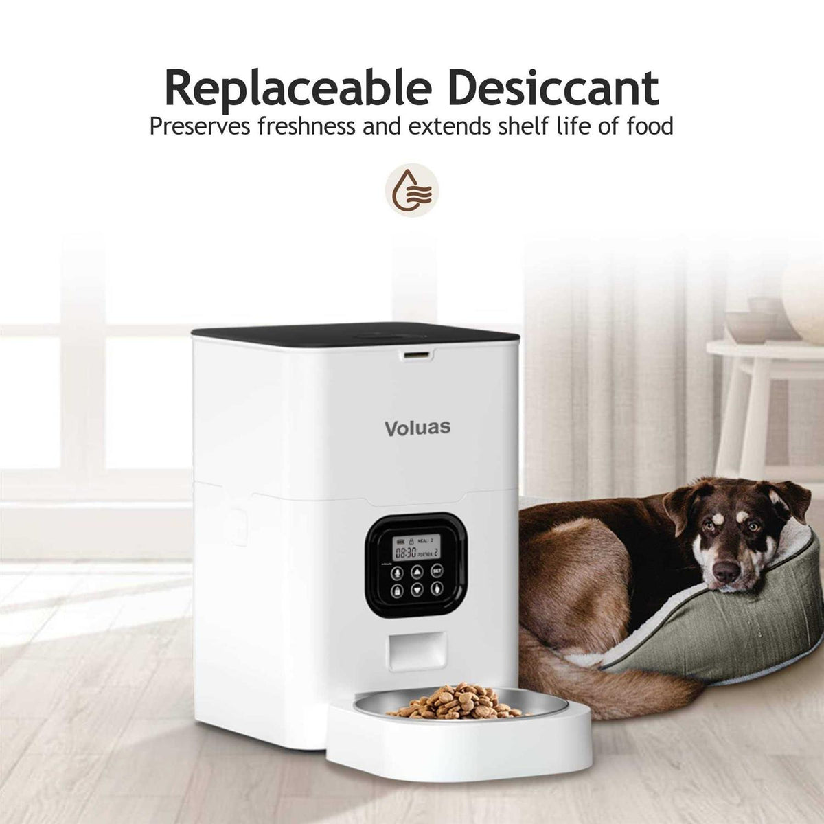 Automatic Pet Feeders Z7750