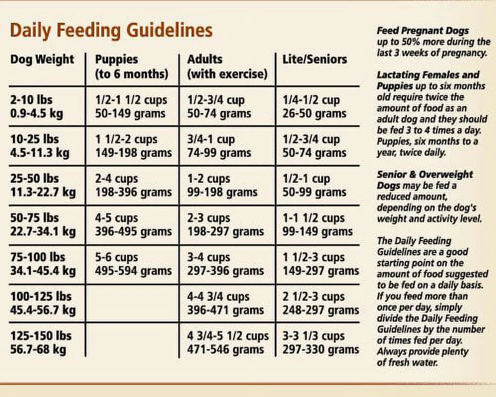 Lamb Meal & Rice Dry Dog Food, 5 lb P414845