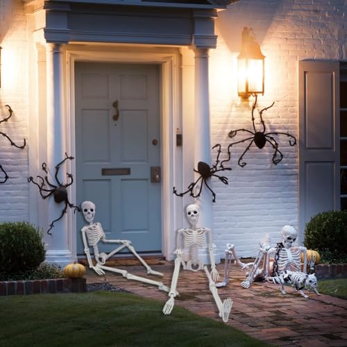 5.4ft/165cm Life Size Skeleton with Movable Joints P665285