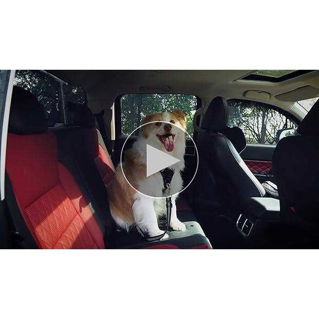 3 Piece Set Dog Car Seat Belt Headrest Restraint Adjustable with Elastic Bungee Buffer D739432