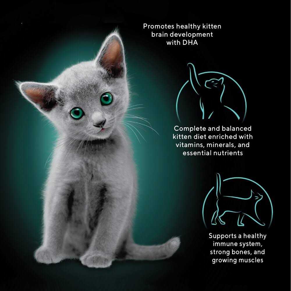 Kitten Soft Pate Wet Food Variety Pack S18713