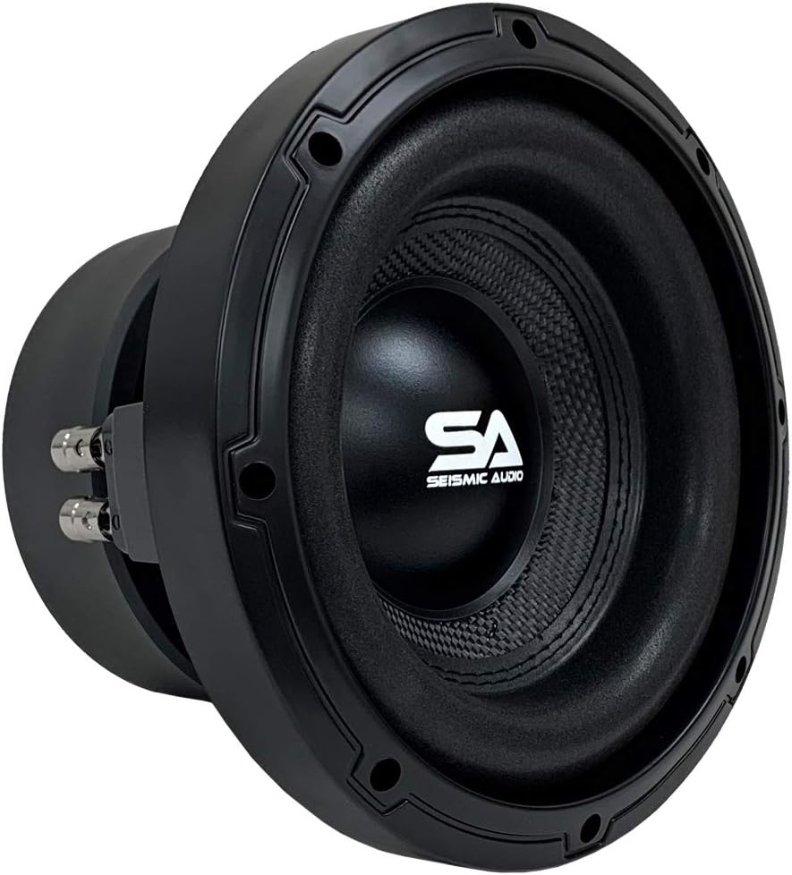 10 Inch 1600 Watt Dual 2 Ohm Car Audio Subwoofer C56543