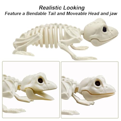 5.4ft/165cm Life Size Skeleton with Movable Joints P665285