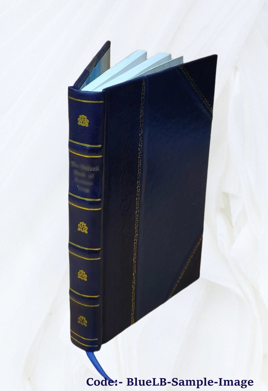 Leather Bound Book B264