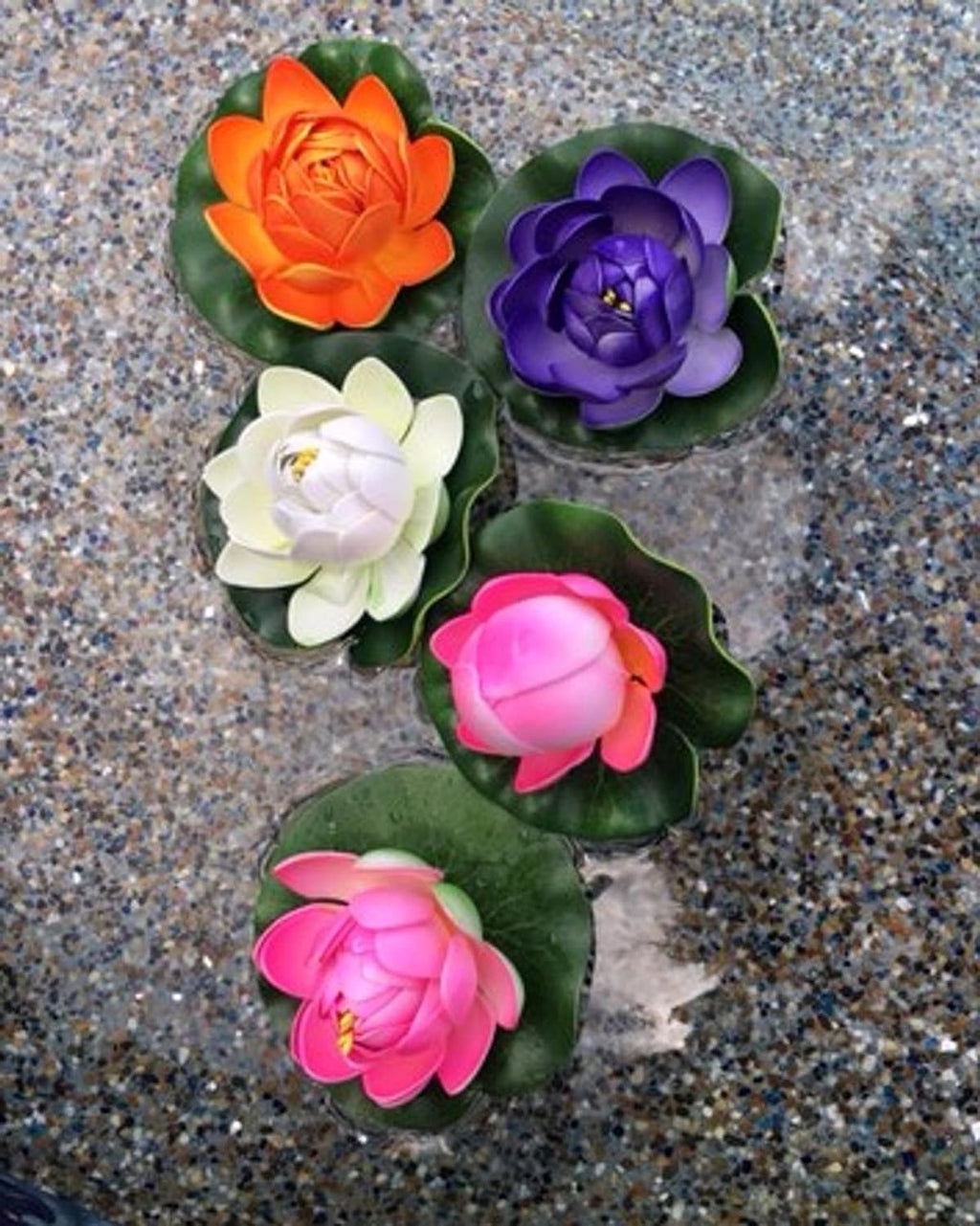 Water Garden Fountain KIT with Liner & Pump 9' X 6' Liner & 5 Water Lilies A4435
