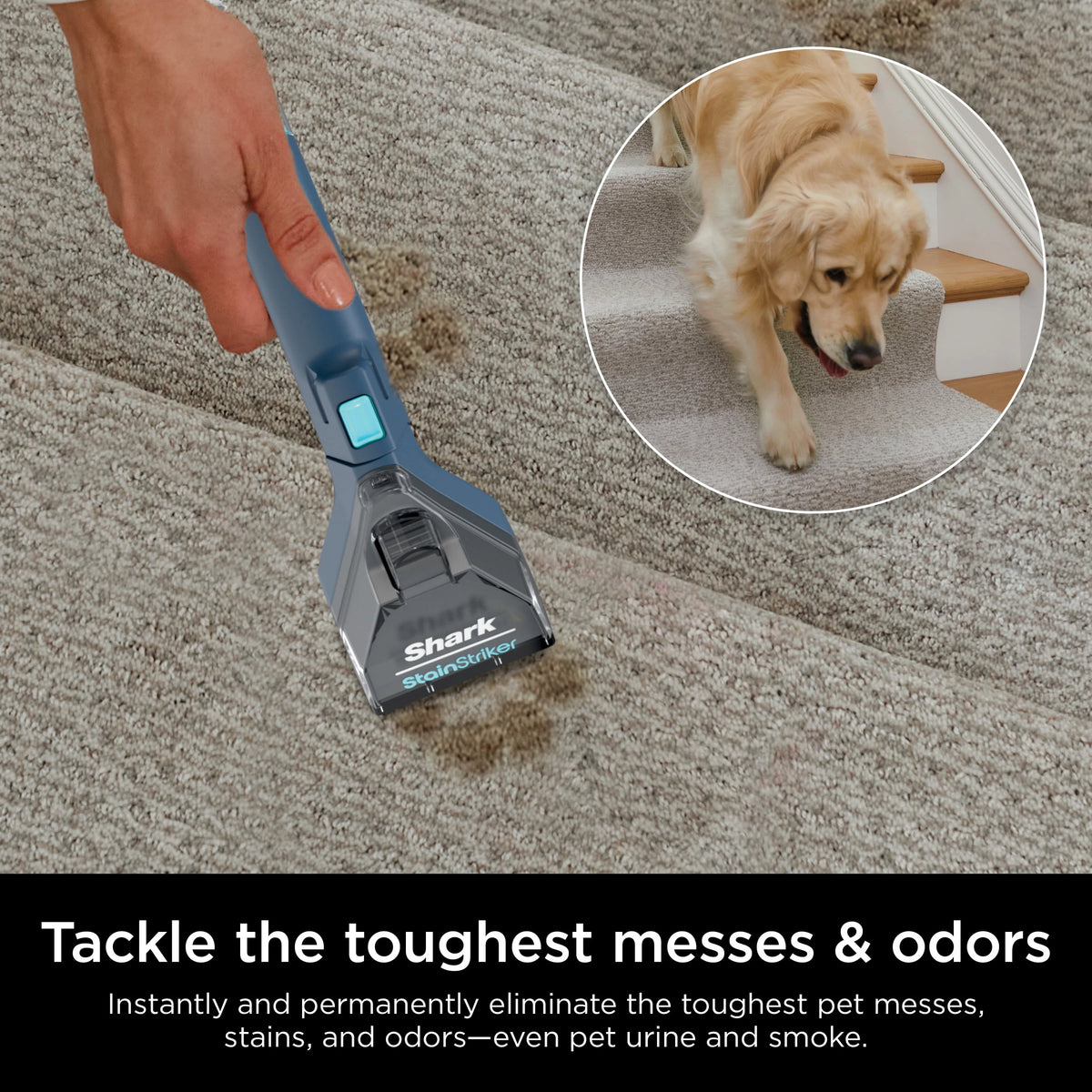 Upright Carpet & Upholstery Cleaner, Navy I456