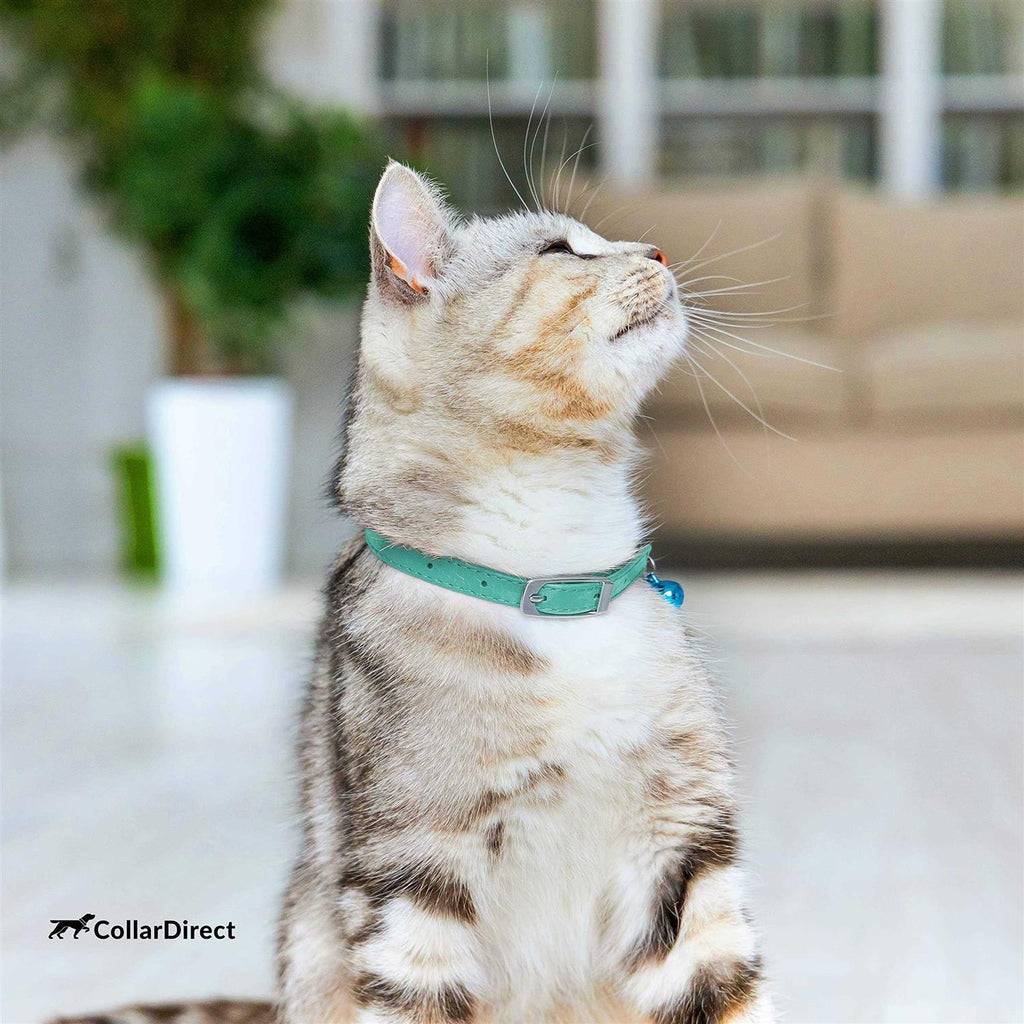 Leather Cat Collar with Bell H39031