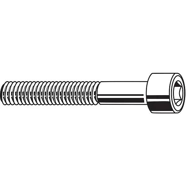 #10-32 Stainless Steel Socket Head Cap Screw H550