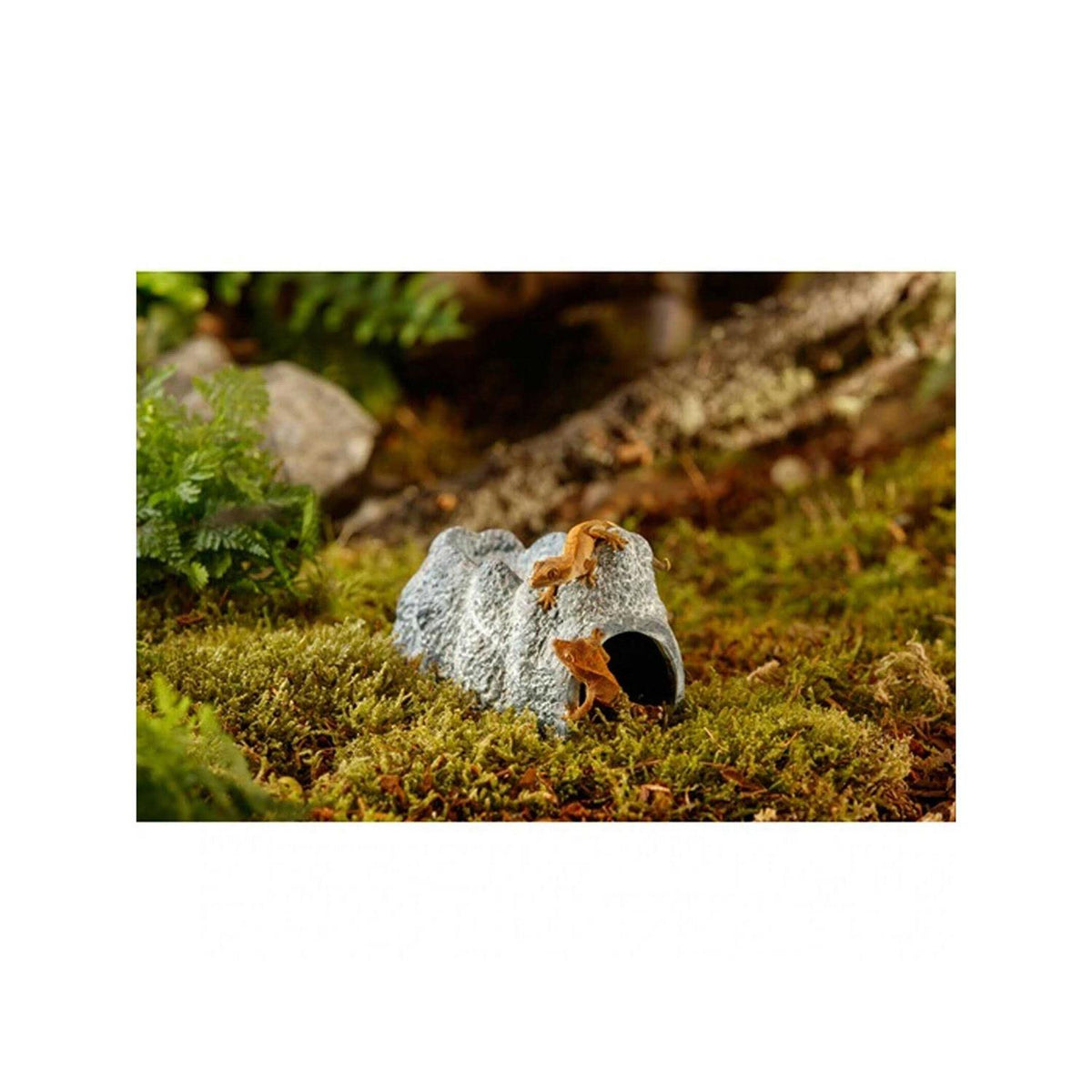 Wet Rock Cave T325
