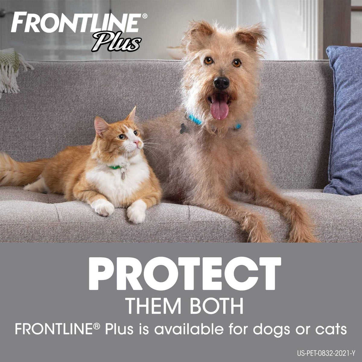 Flea Tick Dogs Q9085