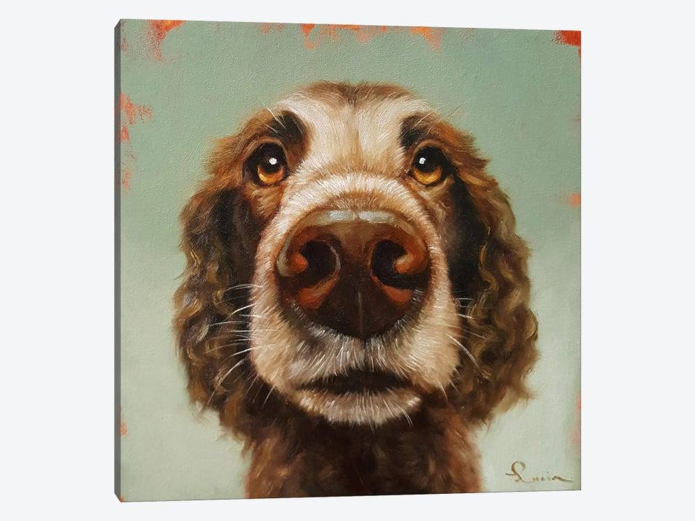 Canvas Art Picture of Dog O3796