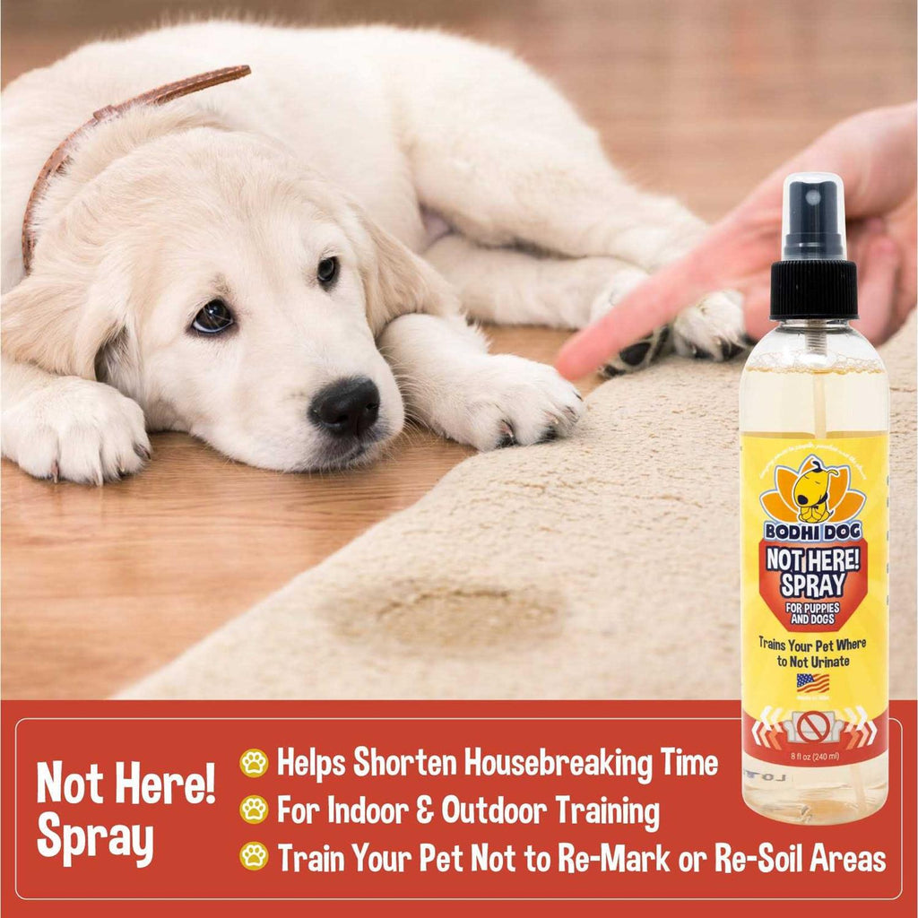 Dog Training Spray E7265