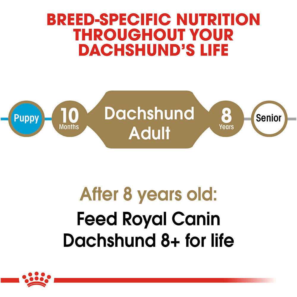 Adult Dry Dog Food Q863