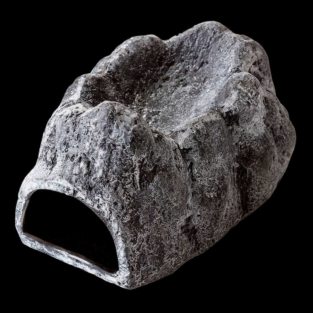 Wet Rock Cave T325