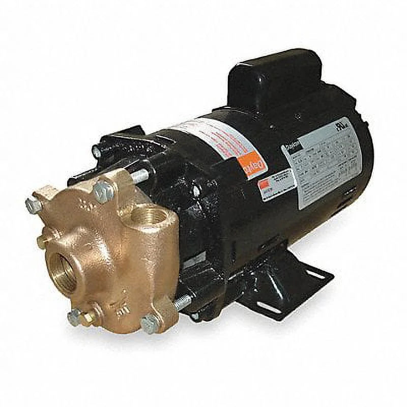 1 HP Pump Y983